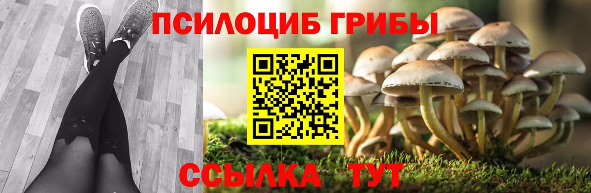 Псилоцибиновые грибы мицелий Тамбов